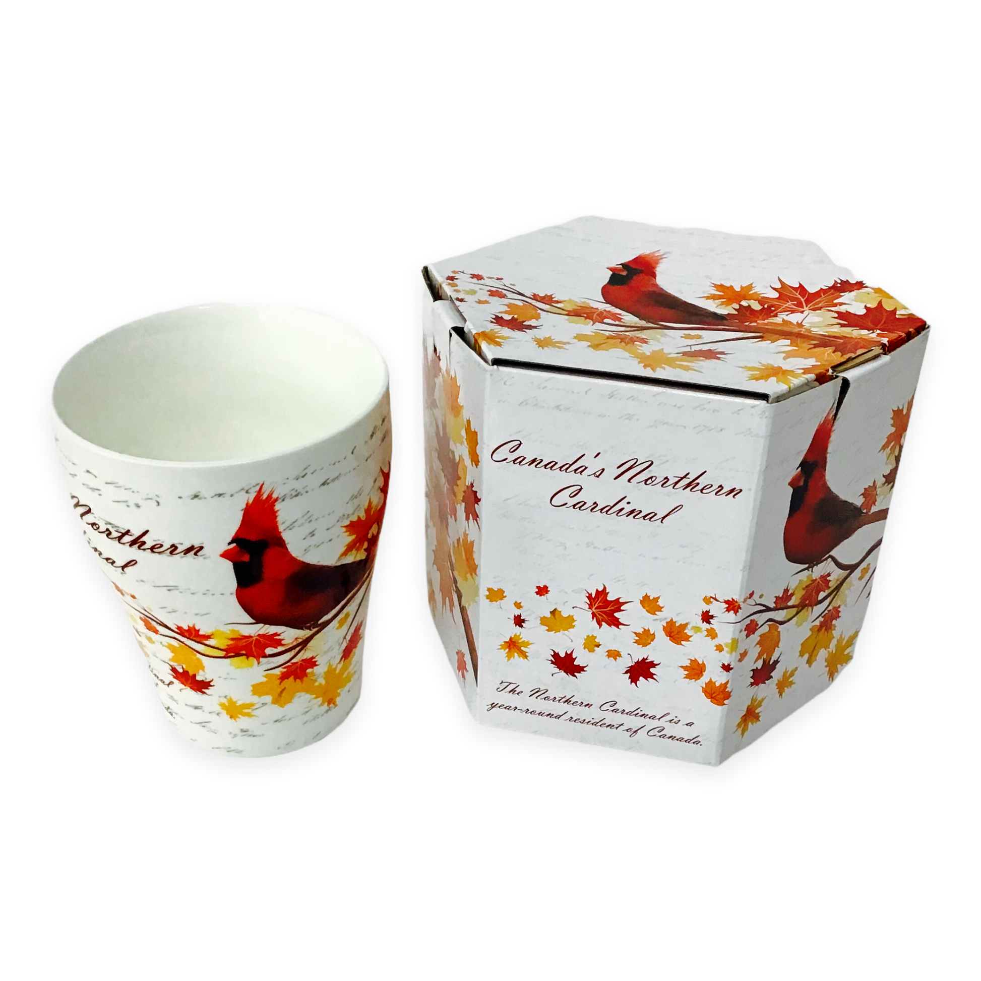 Canadian Northern Cardinal Mug with multi-color maple leaves tea cup and matching box