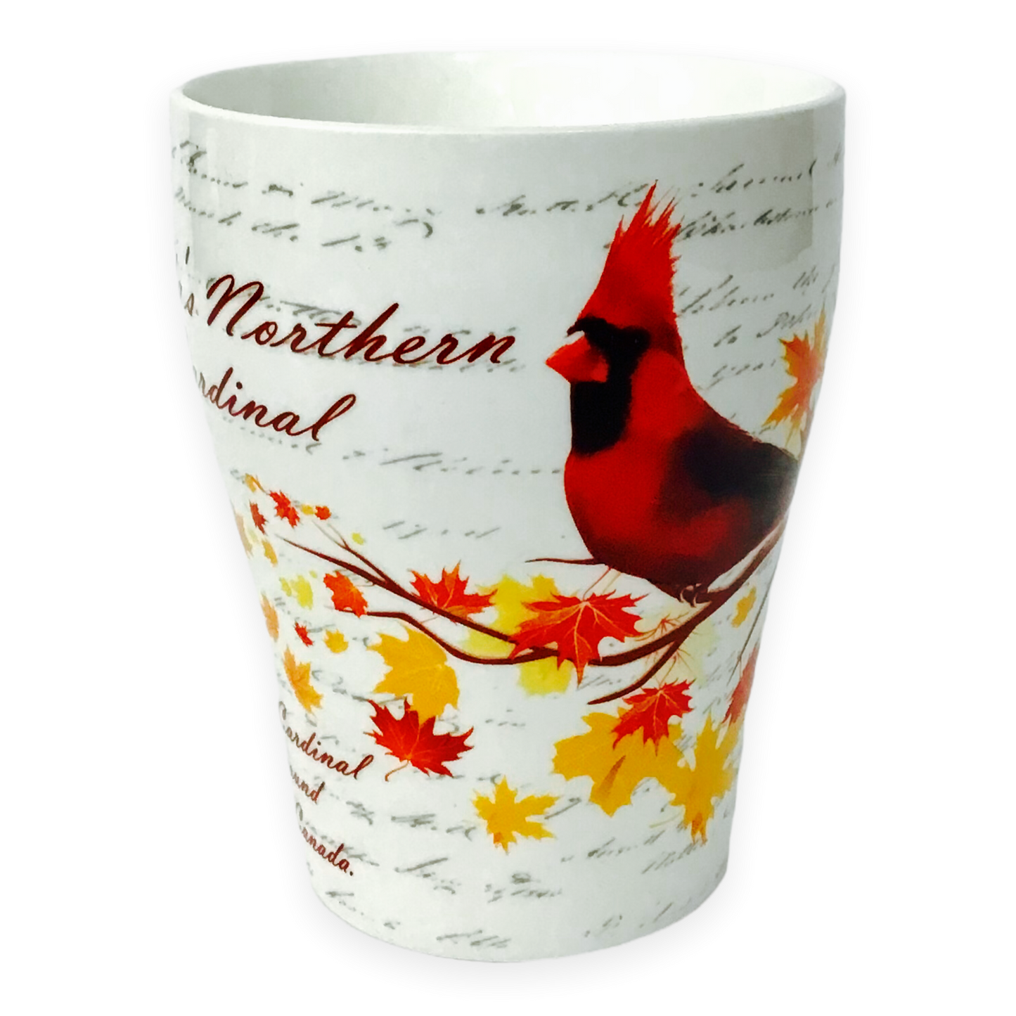 Tasse cardinale du Nord canadien avec tasse à thé en feuilles d'érable multicolores et boîte assortie